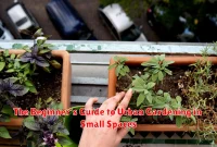 The Beginner's Guide to Urban Gardening in Small Spaces